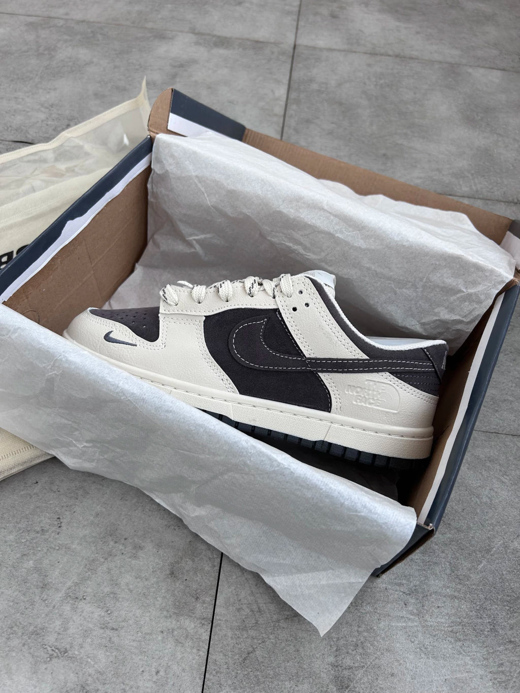 NIKE DUNK THE NORTH FACE
