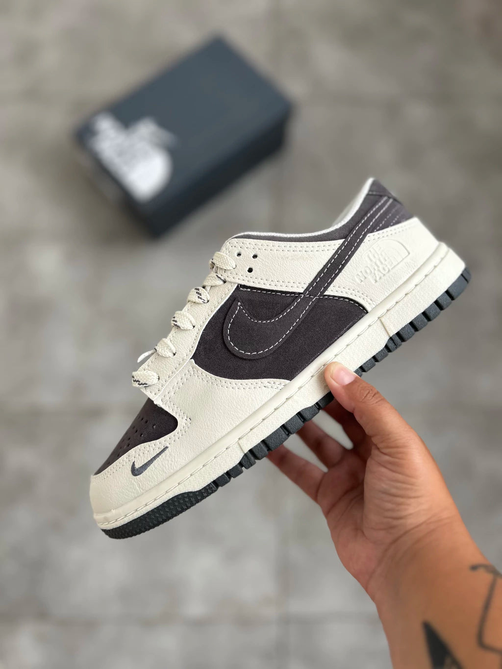 NIKE DUNK THE NORTH FACE