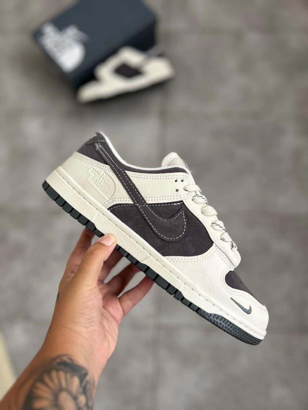 NIKE DUNK THE NORTH FACE